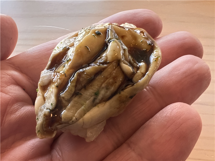 oyster sushi